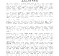 자기소개서 예문32 자기소개서 예문32